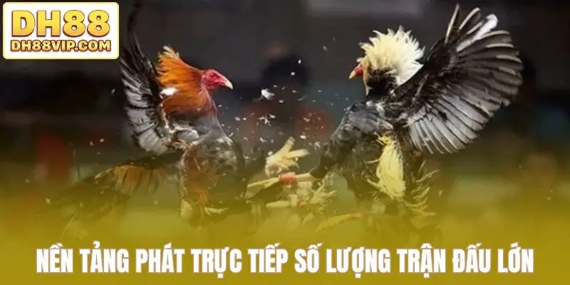 Nền tảng phát trực tiếp số lượng trận đấu lớn